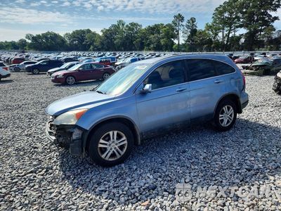 2010 HONDA CR-V EXL 5J6RE3H73AL007983 - główne zdjęcie licytacji z USA - miniatura