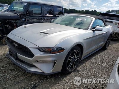 2019 FORD MUSTANG 1FATP8UH0K5170703 - główne zdjęcie licytacji z USA - miniatura