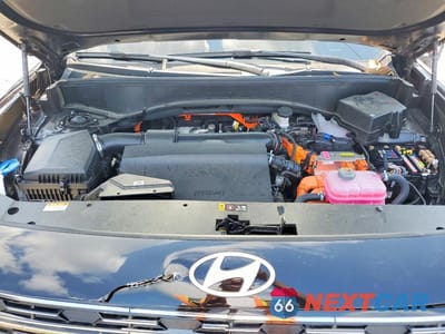 Zdjęcie 11 z 12 samochodu: 2026 HYUNDAI PALISADE VIN:KM8RM5SA8TU046960 - miniatura