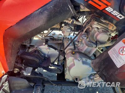 Zdjęcie 7 z 10 samochodu: 2022 CAN-AM DS 250 - ATV VIN:RFGUB2513NS030109 - miniatura