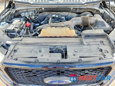 Zdjęcie 11 z 12 samochodu: 2019 FORD F150 XL VIN:1FTEW1CPXKKC30221 - miniatura