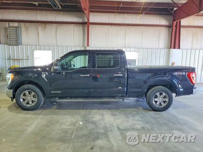 Zdjęcie 12 z 13 samochodu: 2021 FORD F150 SUPERCREW VIN:1FTFW1ED0MFC14998 - miniatura
