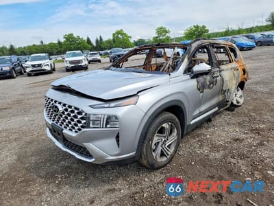 2023 HYUNDAI SANTA FE SEL PREMIUM 5NMS3DAJ6PH608517 - główne zdjęcie licytacji z USA - miniatura