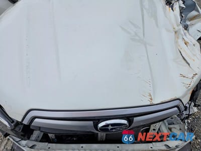 Zdjęcie 12 z 14 samochodu: 2019 SUBARU FORESTER PREMIUM VIN:JF2SKAGC4KH496399 - miniatura