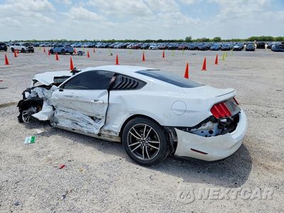 Drugie zdjęcie samochodu z przodu: 2017 FORD MUSTANG VIN:1FA6P8TH8H5335839 - miniatura