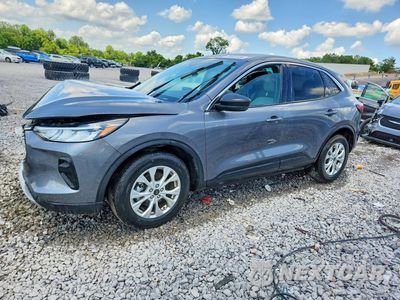 2024 FORD ESCAPE ACTIVE 1FMCU0GN4RUB08707 - główne zdjęcie licytacji z USA - miniatura