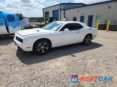 2014 DODGE CHALLENGER SXT 2C3CDYAGXEH274325 - główne zdjęcie licytacji z USA - miniatura