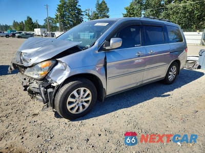 2008 HONDA ODYSSEY EXL 5FNRL387X8B036552 - główne zdjęcie licytacji z USA - miniatura