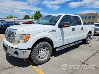 2014 FORD F150 SUPERCREW 1FTFW1ET8EFB30131 - główne zdjęcie licytacji z USA - miniatura