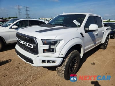 2019 FORD F150 RAPTOR 1FTFW1RGXKFA76159 - główne zdjęcie licytacji z USA - miniatura