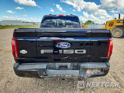 Zdjęcie 6 z 13 samochodu: 2024 FORD F150 KING RANCH VIN:1FTFW6LD7RFC12964 - miniatura
