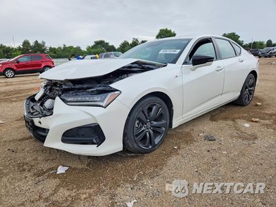 2021 ACURA TLX TECH A 19UUB5F50MA012923 - główne zdjęcie licytacji z USA - miniatura