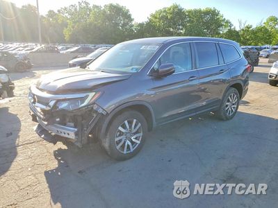 2020 HONDA PILOT EXL 5FNYF6H56LB067079 - główne zdjęcie licytacji z USA - miniatura