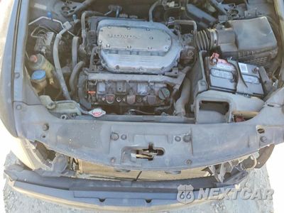 Zdjęcie 11 z 12 samochodu: 2009 HONDA ACCORD EXL VIN:1HGCP36829A034389 - miniatura