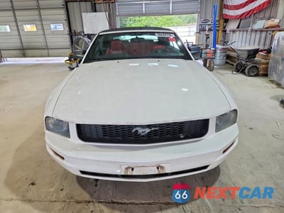 Piąte zdjęcie samochodu w środku: 2005 FORD MUSTANG VIN:1ZVFT84N555199494 - miniatura