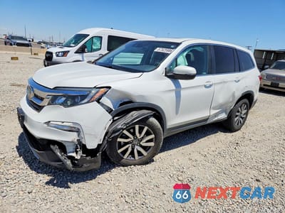 2021 HONDA PILOT EXL 5FNYF6H58MB050754 - główne zdjęcie licytacji z USA - miniatura