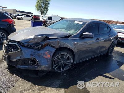 2019 ACURA TLX TECHNOLOGY/A-SPEC 19UUB2F69KA006834 - główne zdjęcie licytacji z USA - miniatura