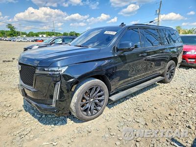 2024 CADILLAC ESCALADE ESV SPORT PLATINUM 1GYS4RKT2RR179721 - główne zdjęcie licytacji z USA - miniatura