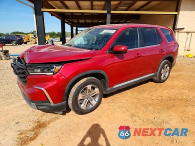 2024 HONDA PILOT EXL 5FNYG1H46RB002636 - główne zdjęcie licytacji z USA - miniatura