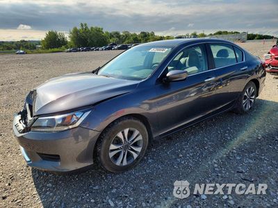 2013 HONDA ACCORD LX 1HGCR2F31DA004317 - główne zdjęcie licytacji z USA - miniatura