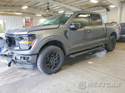 2024 FORD F150 XLT 1FTEW3LP8RKF42415 - główne zdjęcie licytacji z USA - miniatura