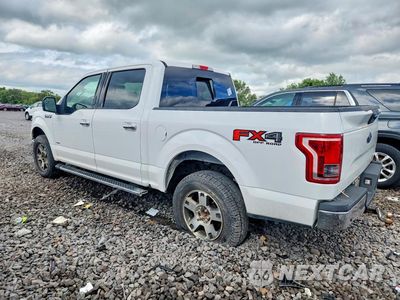 Drugie zdjęcie samochodu z przodu: 2015 FORD F150 SUPERCREW VIN:1FTEW1EG7FKD24737 - miniatura