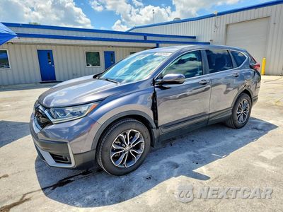 2022 HONDA CR-V EXL 5J6RW2H86NA008658 - główne zdjęcie licytacji z USA - miniatura