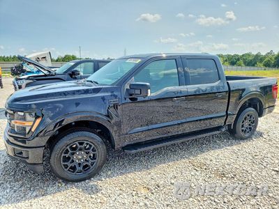 2025 FORD F150 XLT 1FTEW3K54SKD69126 - główne zdjęcie licytacji z USA - miniatura