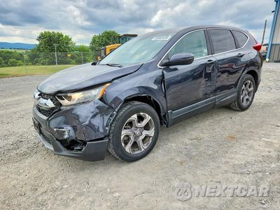 2019 HONDA CR-V EX 7FARW1H55KE016294 - główne zdjęcie licytacji z USA - miniatura