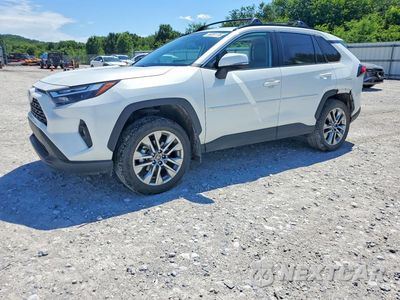 2024 TOYOTA RAV4 XLE PREMIUM 2T3C1RFV5RW343929 - główne zdjęcie licytacji z USA - miniatura