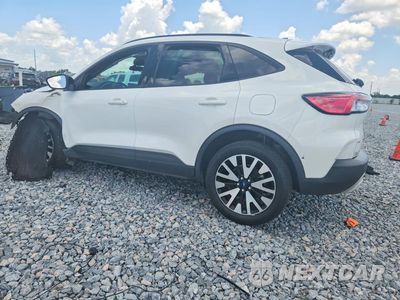 Drugie zdjęcie samochodu z przodu: 2020 FORD ESCAPE SE SPORT VIN:1FMCU0BZ0LUB81882 - miniatura