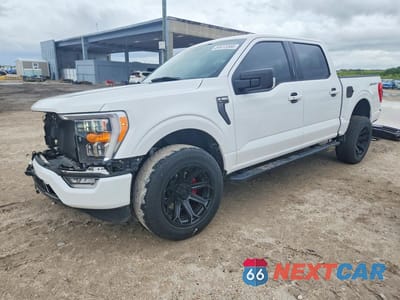 2021 FORD F150 SUPERCREW 1FTEW1CP2MFB91586 - główne zdjęcie licytacji z USA - miniatura