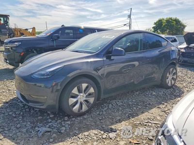2024 TESLA MODEL Y 7SAYGDEE8RF084984 - główne zdjęcie licytacji z USA - miniatura