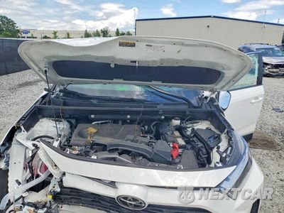 Zdjęcie 12 z 14 samochodu: 2025 TOYOTA RAV4 XLE VIN:2T3P1RFV2SC574974 - miniatura