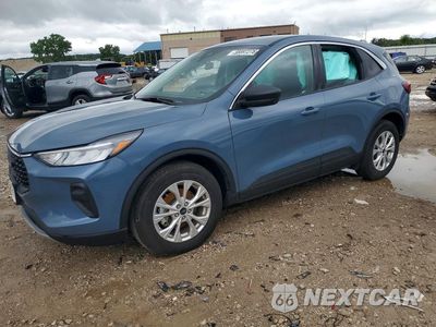 2024 FORD ESCAPE ACTIVE 1FMCU0GN2RUB47506 - główne zdjęcie licytacji z USA - miniatura