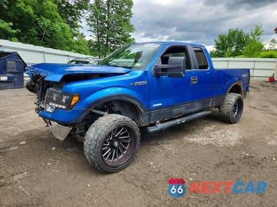 2013 FORD F150 SUPER CAB 1FTFX1ET0DFD43974 - główne zdjęcie licytacji z USA - miniatura