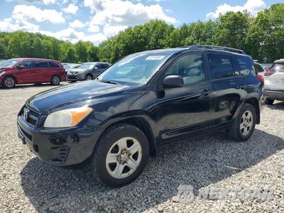 2010 TOYOTA RAV4 BASE 2T3BF4DV6AW069860 - główne zdjęcie licytacji z USA - miniatura