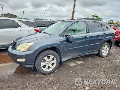 2004 LEXUS RX 330 JTJGA31U140006746 - główne zdjęcie licytacji z USA - miniatura