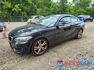 2015 BMW 228 XI WBA1F7C53FVX96237 - główne zdjęcie licytacji z USA - miniatura