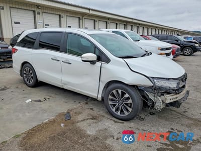 Czwarte zdjęcie samochodu z boku: 2022 HONDA ODYSSEY EXL VIN:5FNRL6H79NB019058 - miniatura