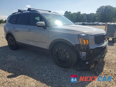 Czwarte zdjęcie samochodu z boku: 2025 KIA TELLURIDE SX-PRESTIGE X-LINE VIN:5XYP5DGC8SG633513 - miniatura