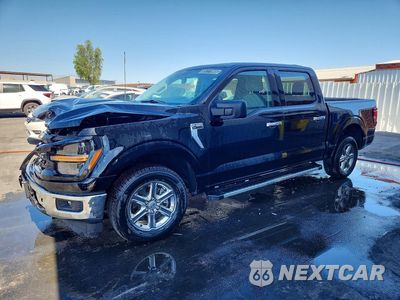 2025 FORD F150 XLT 1FTEW3K52SKE28304 - główne zdjęcie licytacji z USA - miniatura