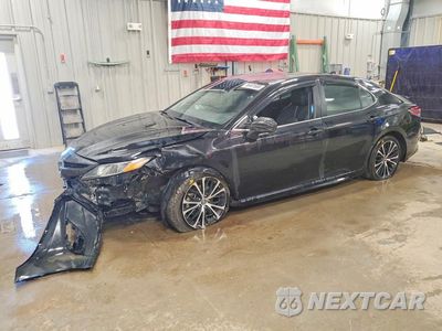 2019 TOYOTA CAMRY SE 4T1B11HK6KU250223 - główne zdjęcie licytacji z USA - miniatura