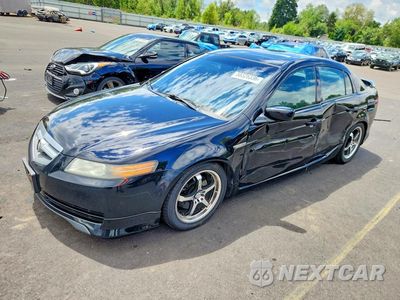 2004 ACURA TL 19UUA66214A013285 - główne zdjęcie licytacji z USA - miniatura