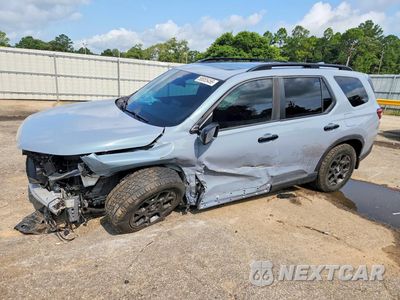 2024 HONDA PILOT TRAILSPORT 5FNYG1H63RB019573 - główne zdjęcie licytacji z USA - miniatura