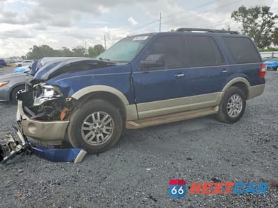 2009 FORD EXPEDITION EDDIE BAUER 1FMFU18519LA02383 - główne zdjęcie licytacji z USA - miniatura