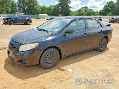 2010 TOYOTA COROLLA LE 1NXBU4EE7AZ299680 - główne zdjęcie licytacji z USA - miniatura