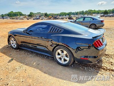 Drugie zdjęcie samochodu z przodu: 2017 FORD MUSTANG VIN:1FA6P8AM7H5333600 - miniatura