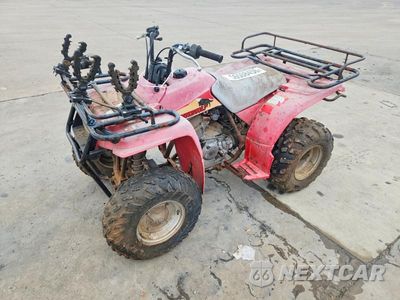 Drugie zdjęcie samochodu z przodu: 1993 YAMAHA TIMBERWOLF ATV VIN:JY44BDA00PA068044 - miniatura