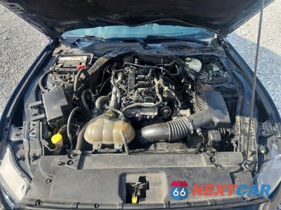 Zdjęcie 11 z 12 samochodu: 2016 FORD MUSTANG VIN:1FA6P8TH2G5335897 - miniatura